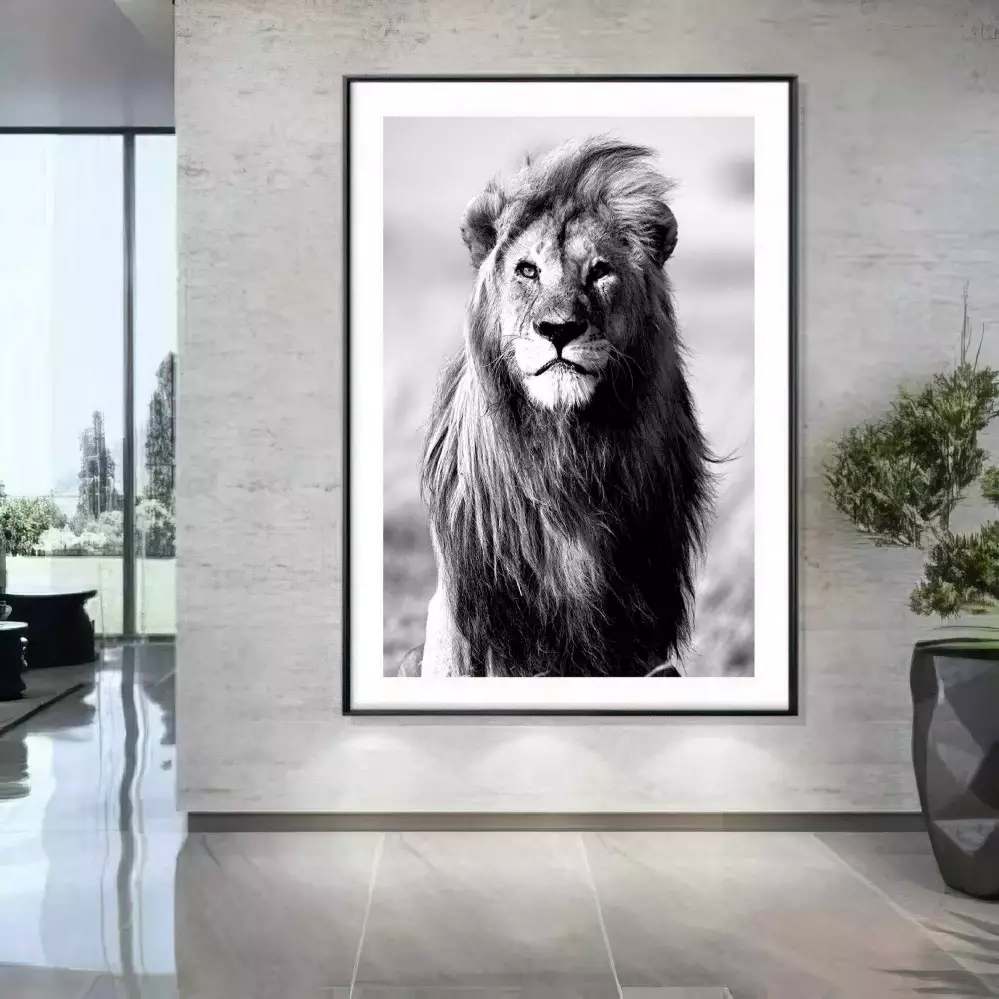 Quadro Decorativo 1 Tela: Retrato Majestoso do Rei da Selva em Preto e Branco, Capturando