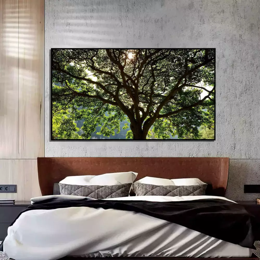 Quadro Decorativo 1 Tela: Serenidade na Floresta - Dia Tranquilo em Árvore Iluminada